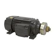 3 HP 3600 RPM 230/460 3Ph Saw Arbor Motor WEG 00336ES3ESA80SL