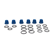 Valve Kit Pentair Hypro 9915-KIT2103