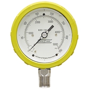 5050 PSI 4 LM Dry Gauge Versa V4254PGO2/Y