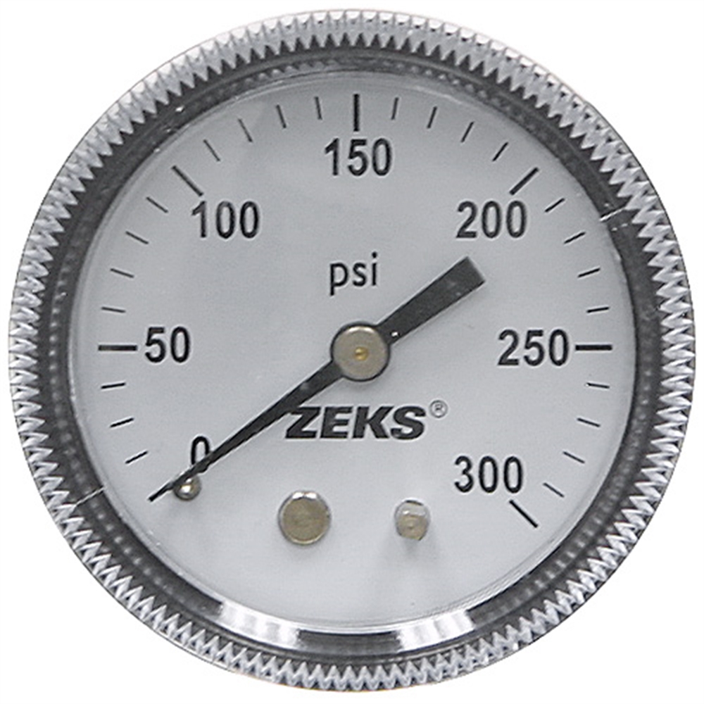 300 PSI 2 PM Dry Gauge Winters 697683 Pressure & Vacuum Gauges