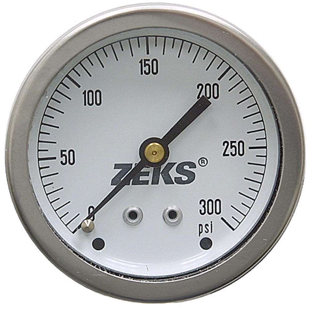 300 PSI 2.5 CB Dry Gauge Winters 631789 Pressure & Vacuum Gauges