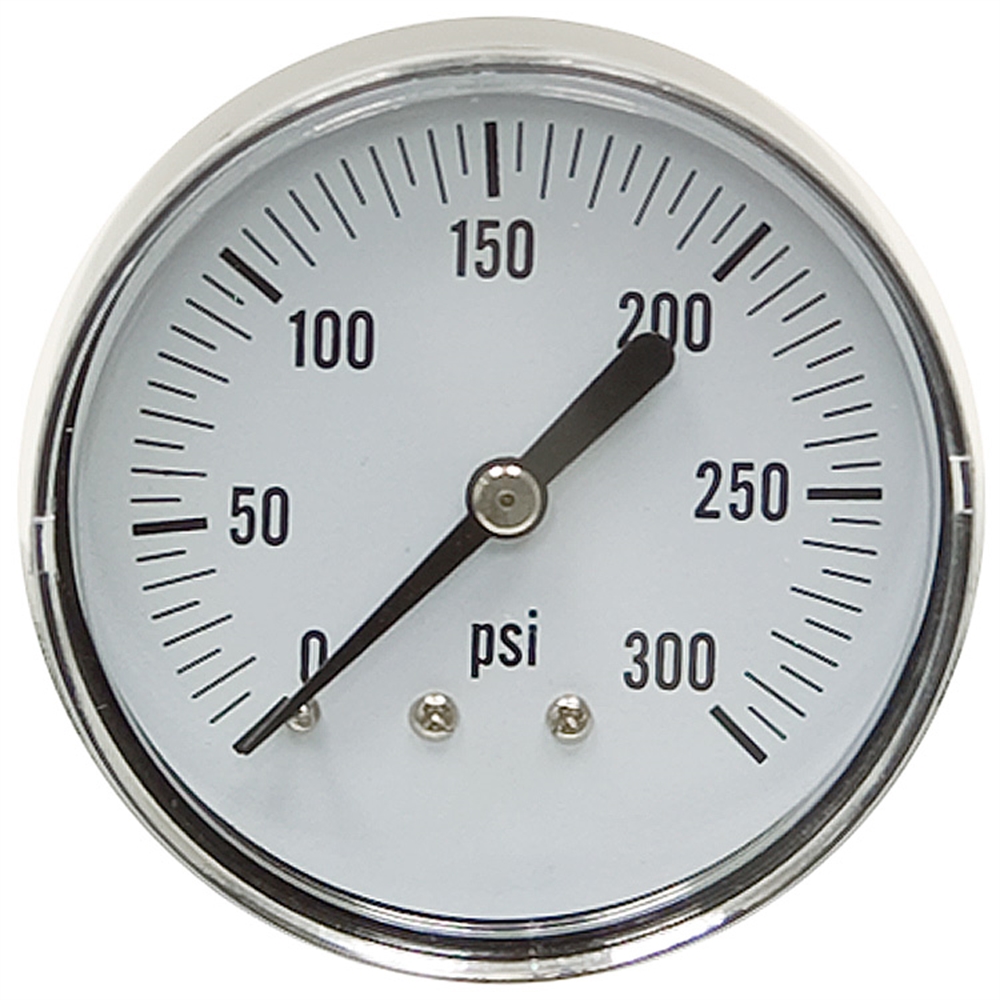 300 PSI 2.5 BM Dry Gauge CDS1P020D Pressure & Vacuum Gauges