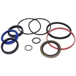 3" Bore 1.25" Rod Lion LH3000 Seal Kit RK30WR-125