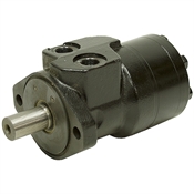 6.1 cu in White Drive Products 256100A1110AAAAC Hydraulic Motor