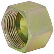 ORFS 10 Female Cap FF304-C-10