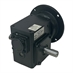 30:1 Right Angle Cast Iron Worm Gear Reducer 0.89 HP 56C Dual Output Worldwide HDRF-175-30-DE-56C - Alternate 1