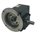 30:1 Right Angle Cast Iron Worm Gear Reducer 0.89 HP 56C Dual Output Worldwide HDRF-175-30-DE-56C
