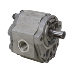 P319AH21L01 HYD MOTOR
